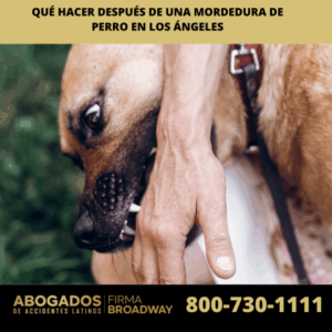 Qué hacer después de una mordedura de perro en Los Ángeles