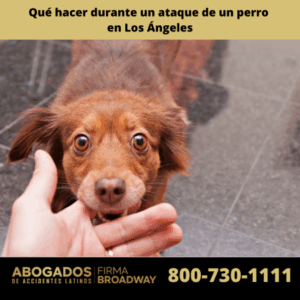 Qué hacer durante un ataque de un perro 
en Los Ángeles