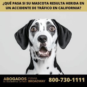 ¿Qué pasa si su mascota resulta herida en un accidente de tráfico en California?