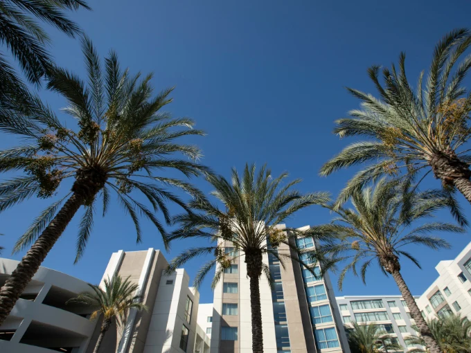 thumbnail image Abogados Latinos en Anaheim Disponibles las 24 Horas Accidentes Abogados Accidentes California LA