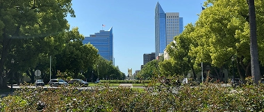 thumbnail image Sacramento Abogados Accidentes California LA